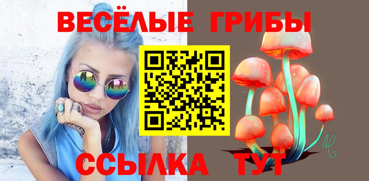 Галлюциногенные грибы Psilocybe Анжеро-Судженск